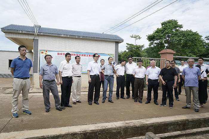 _DSC5999-2018.5.6-7全国政协专题调研组在热科院南亚所国家热带果树种质资源圃调研.jpg