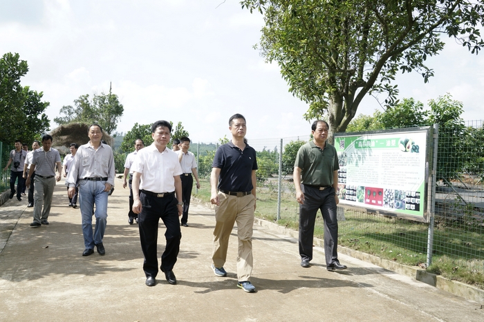 _DSC5836-2018.5.4-7湛江麻章区委书记符贤率队到南亚所实地调研.jpg