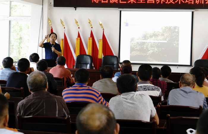 _DSC9227-2018.6.27-7南亚所专家在攀枝花米易县得石镇培训果农.jpg