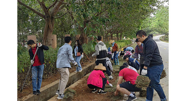 南亚所开展“绿化美化家园”植树节活动